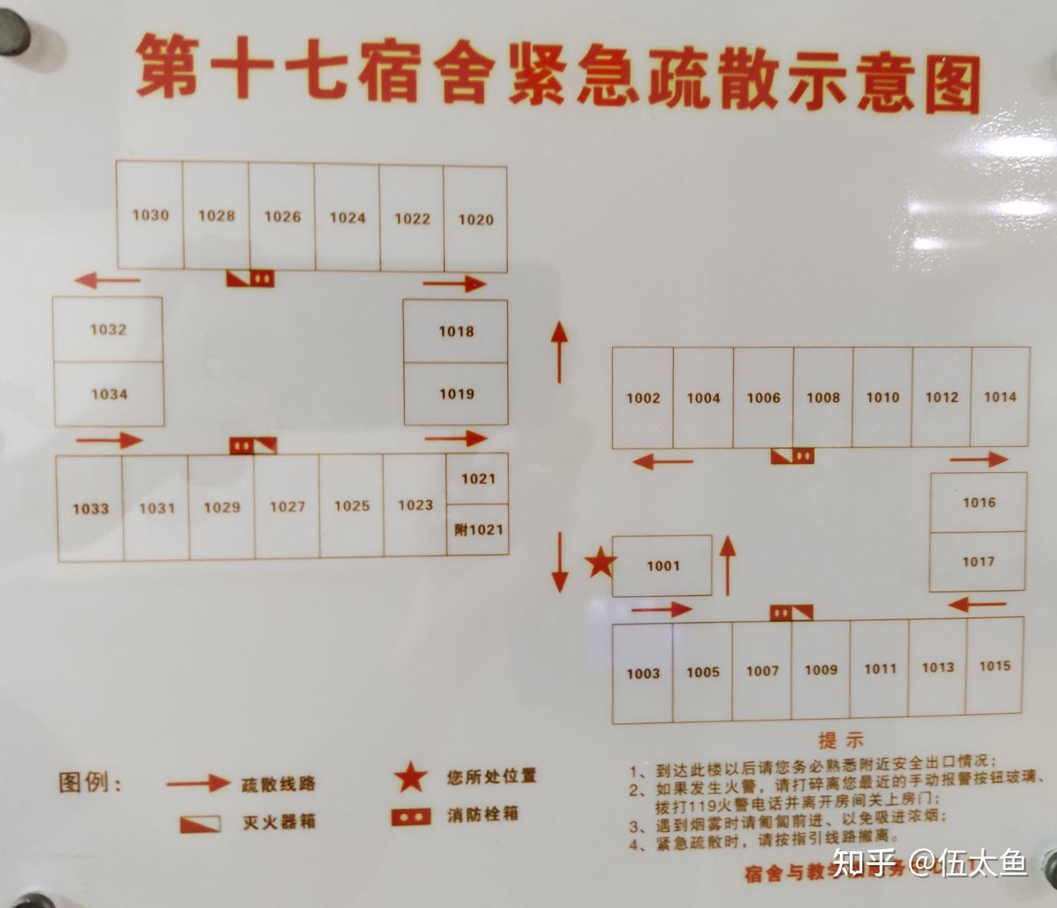 华东师范大学的宿舍条件如何?校区内有哪些生活设施?