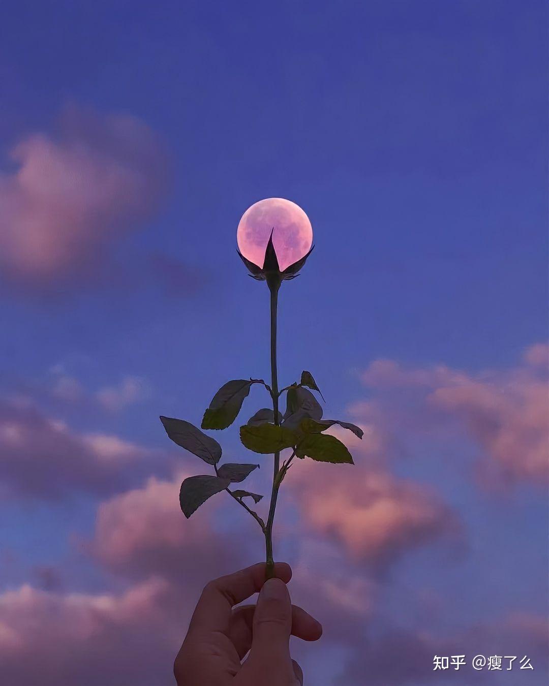 正能量满满的句子❤️点赞收藏💞 - 知乎