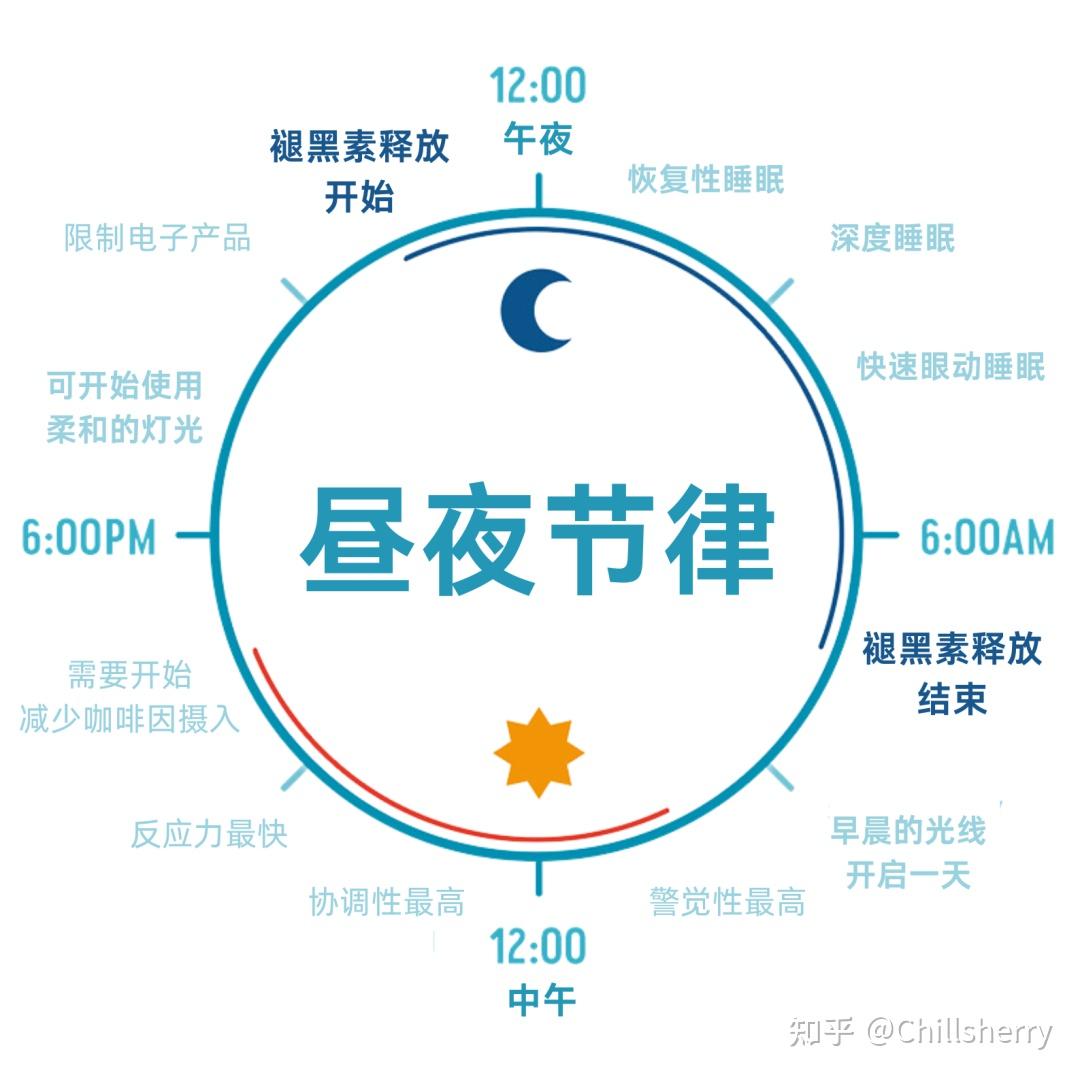 我们为什么需要好的睡眠？ 知乎 