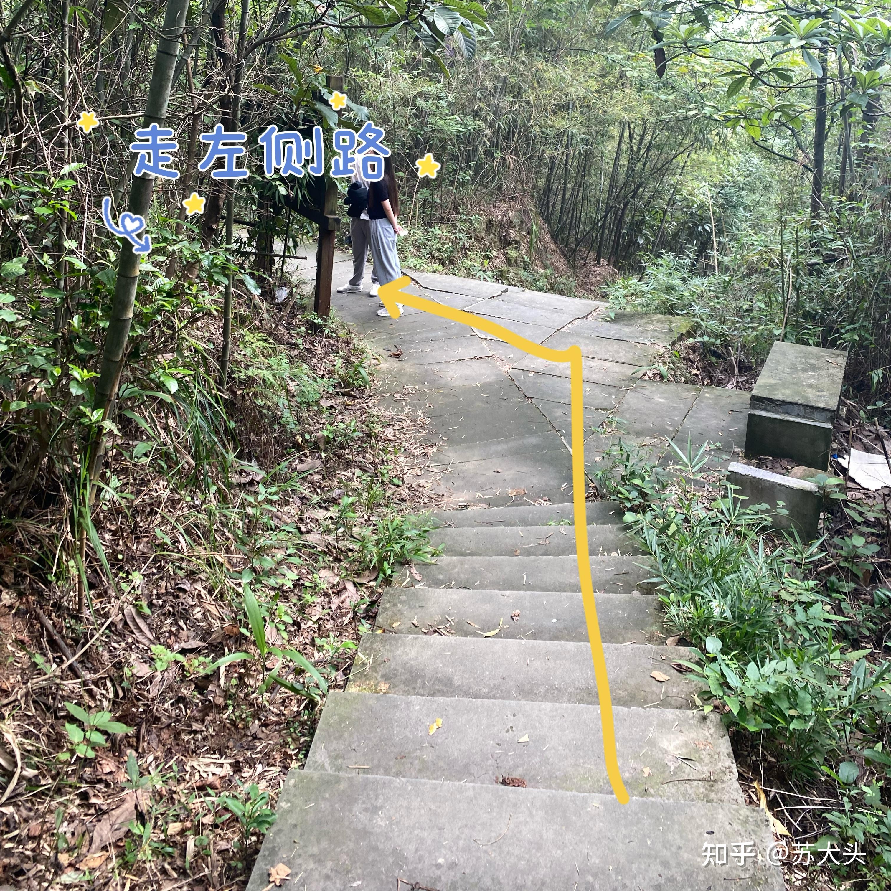 重庆徒步爬山圣地：缙云山免门票上山详细路线指引 - 知乎