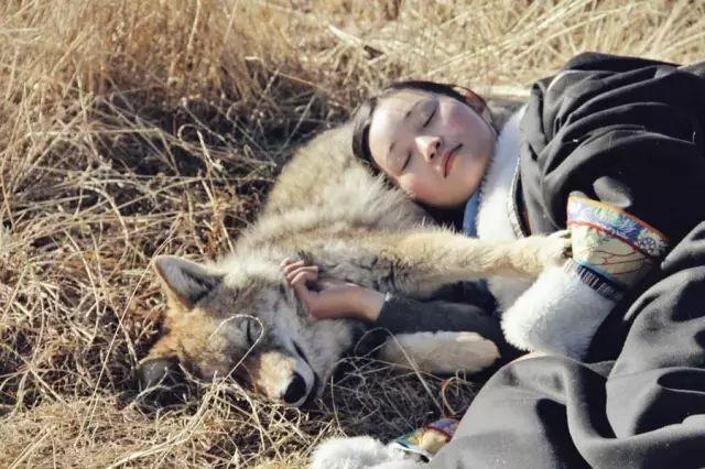 感动千万网友的故事再刷屏:她养大一匹狼,送它重返狼群_https://www.izongheng.net_快讯_第14张