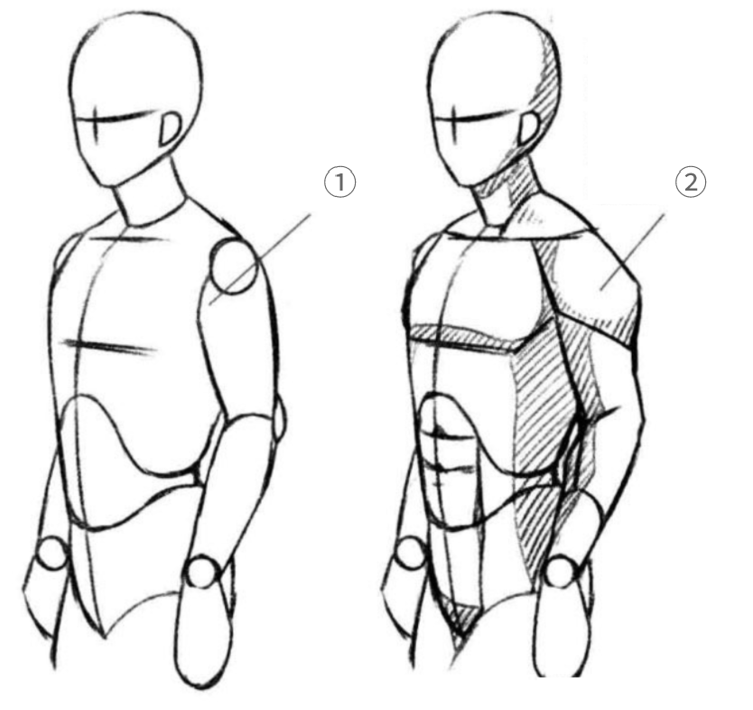 画人体应该怎么打基础? - 知乎