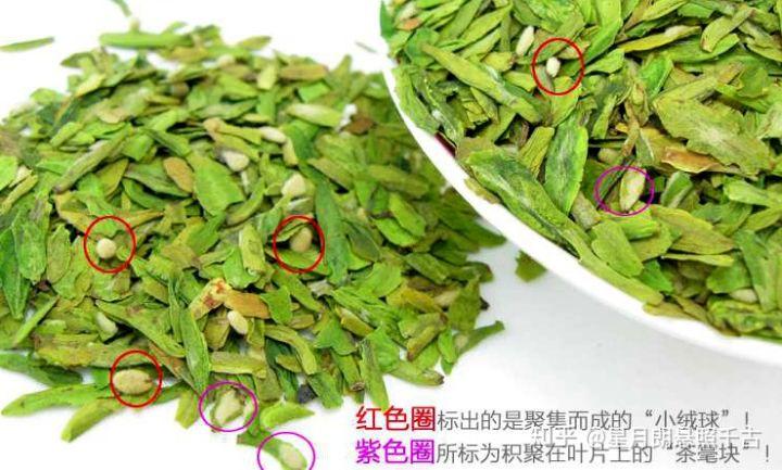如何判断龙井茶上的小团团是茶毫还是发霉呢?
