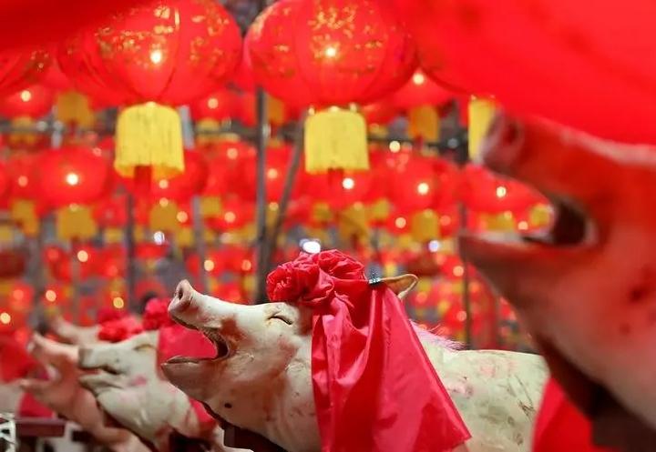 《猪头肉》 - 知乎