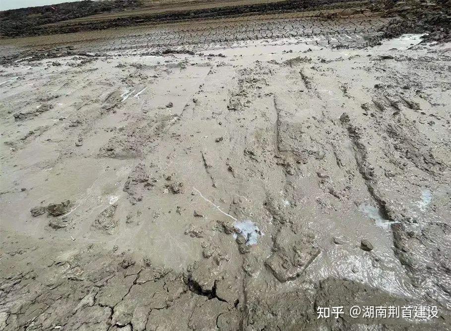 河道生态修复专用材料——淤泥固化剂 - 知乎