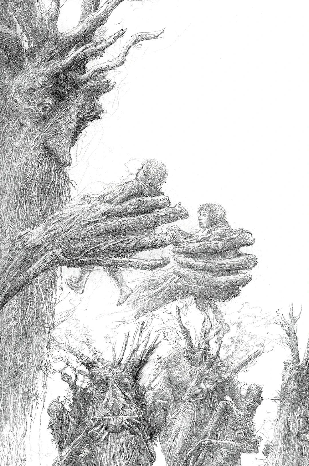 魔戒插画系列—艾伦·李 - 知乎