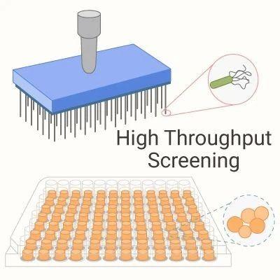 化合物在高通量筛选中的作用 | medchemexpress