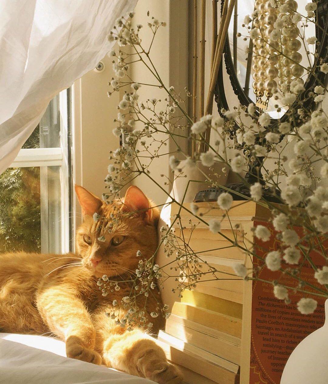 有什么看起来很舒服高级的微信背景图