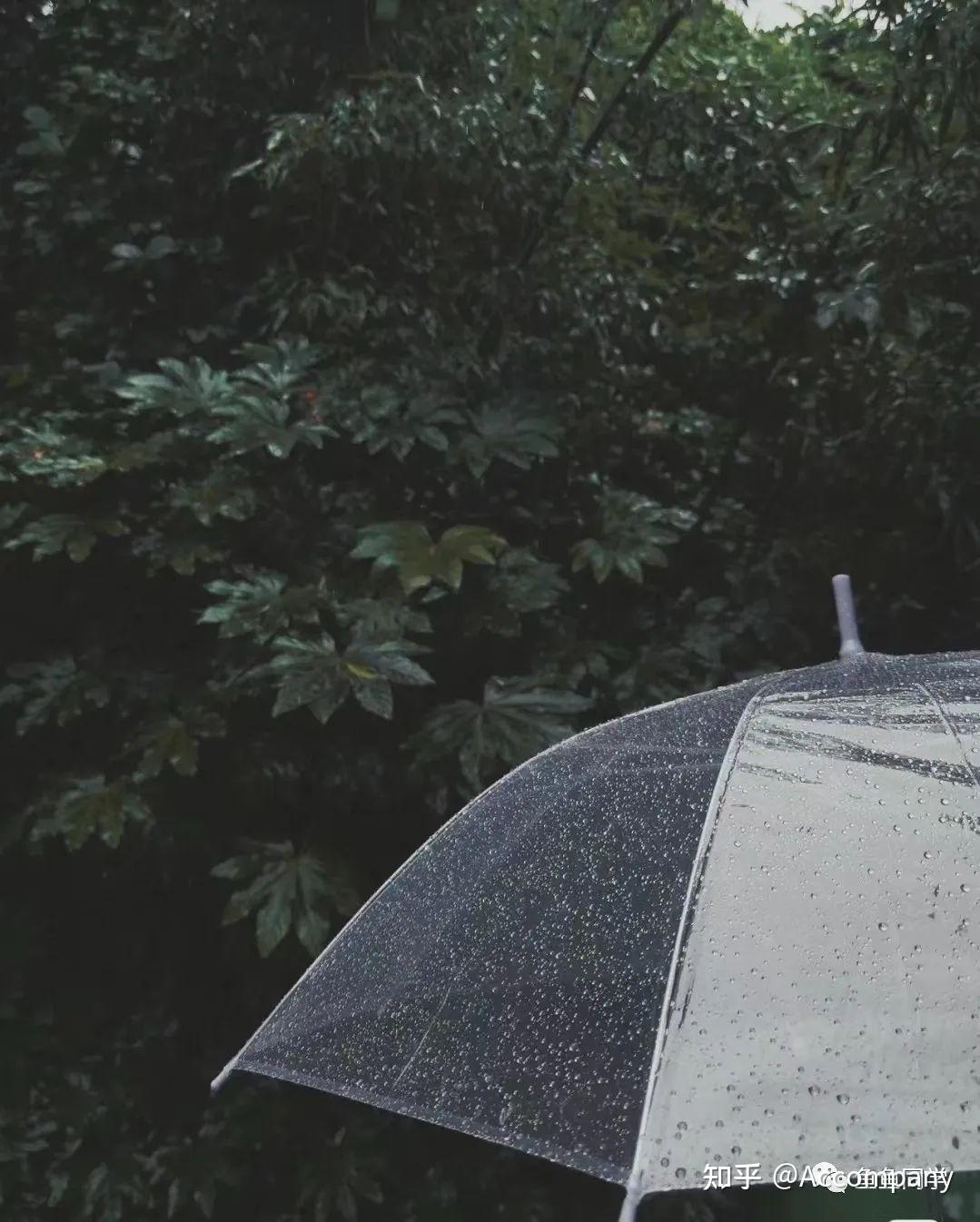 下雨天出个门 - 知乎