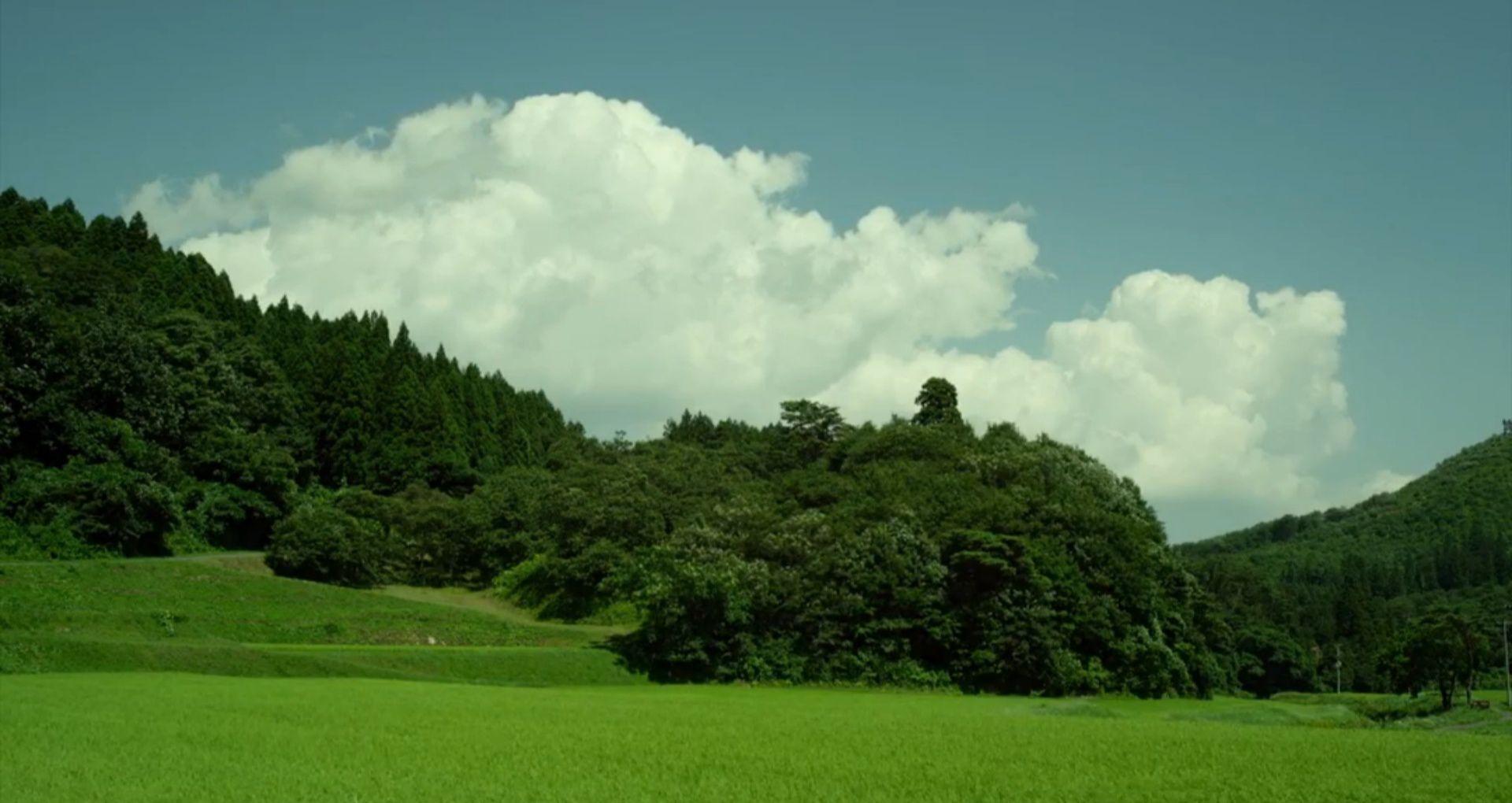 如何評價《小森林 夏秋篇》這部電影?