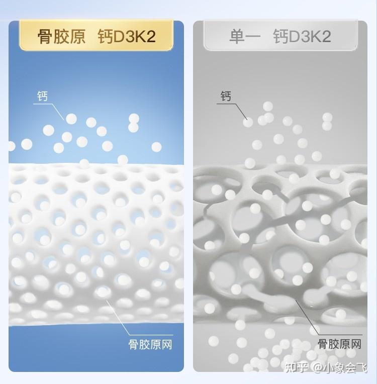 骨科专家强调:补钙≠补骨,inne推出全球首款骨胶原钙守护骨骼与关节健康 - 知乎