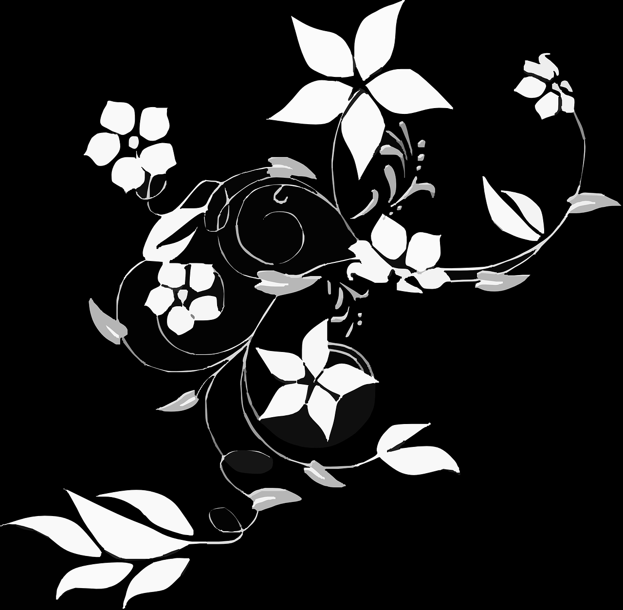 如何清洗植物叶子