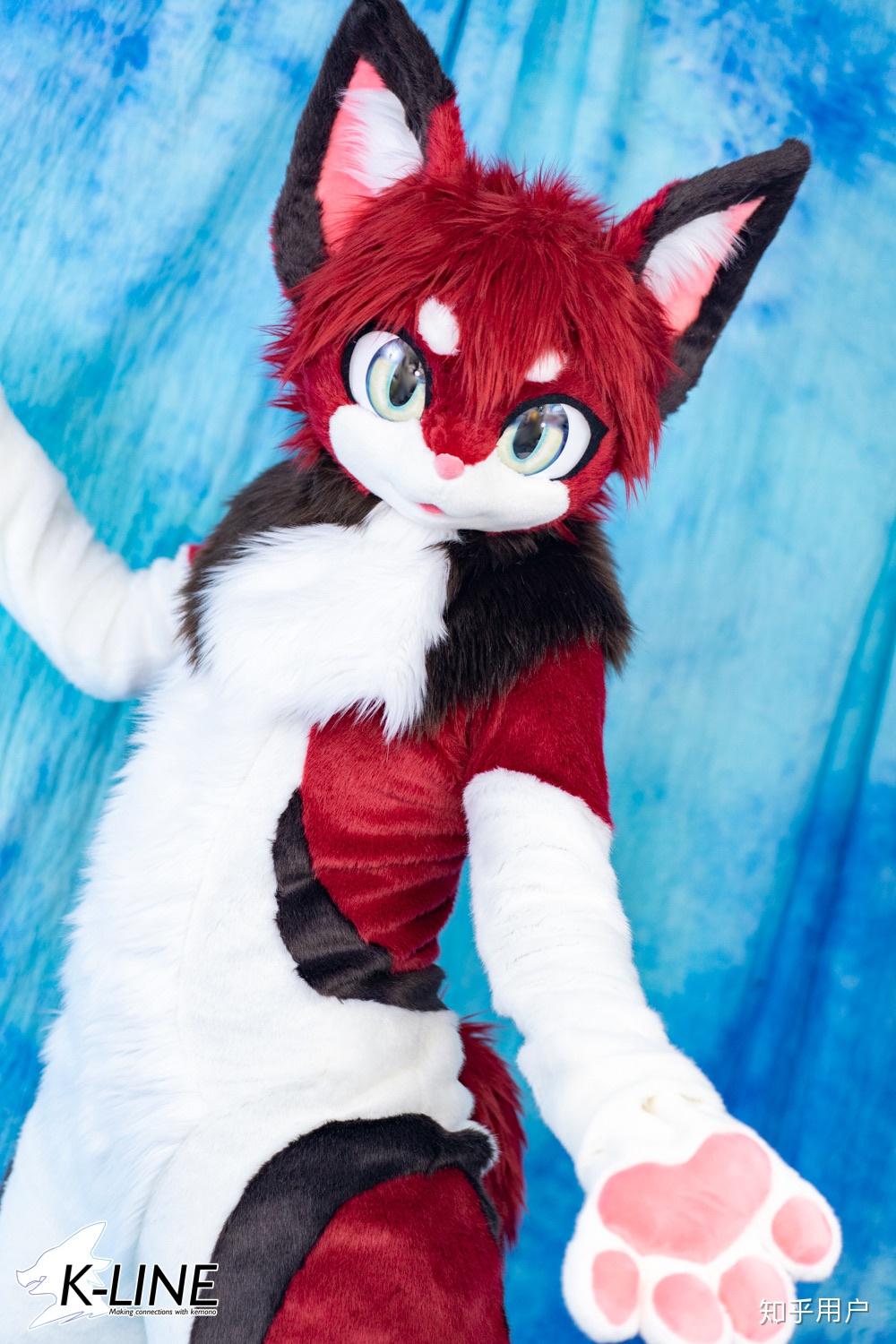 如何说服家长同意买一件17000rmb的fursuit兽装