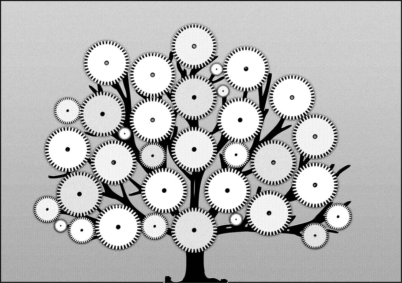 整改目标与原则明确