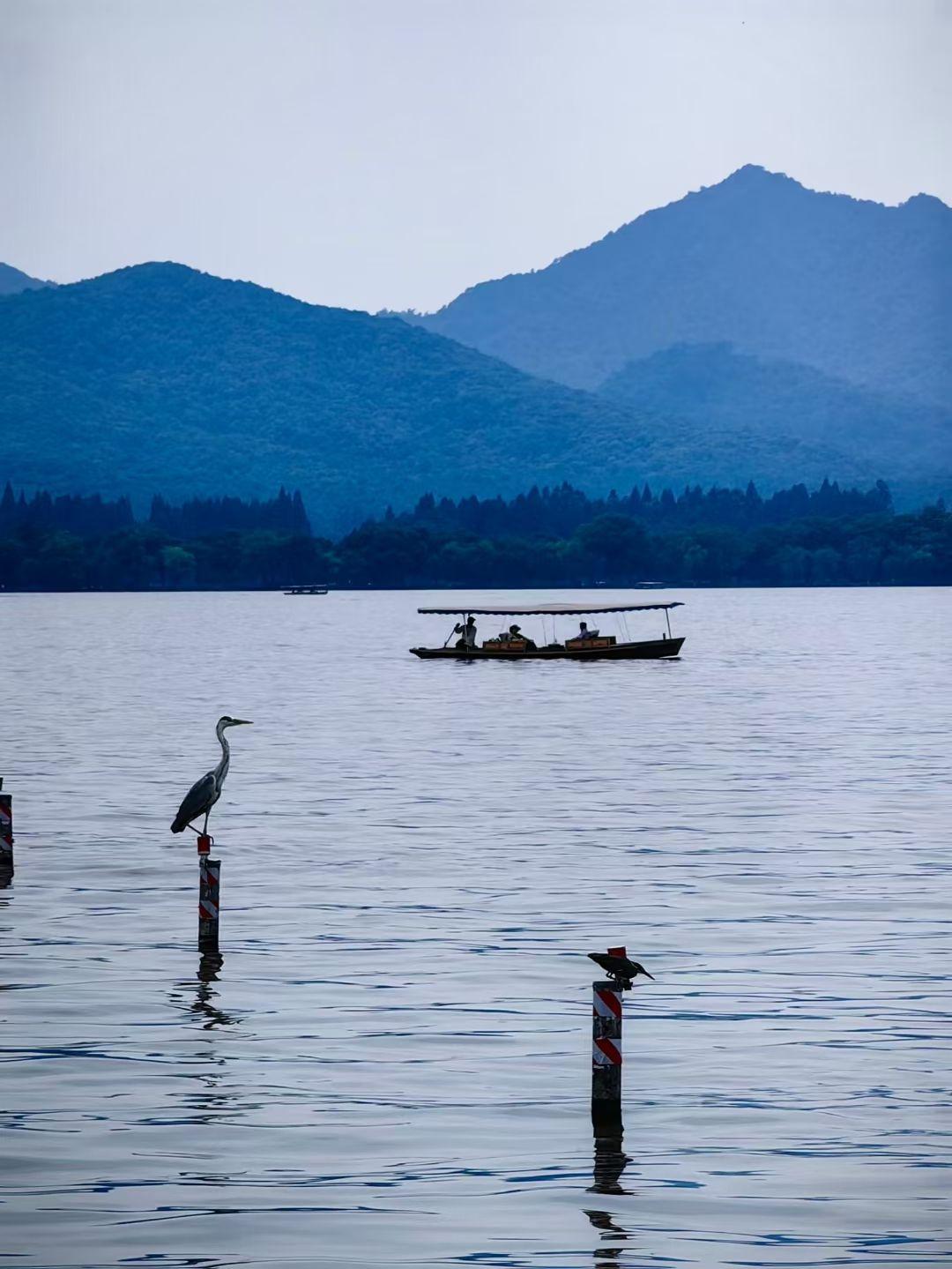能否拍下一张你认为最能代表中国传统美学特色的照片?