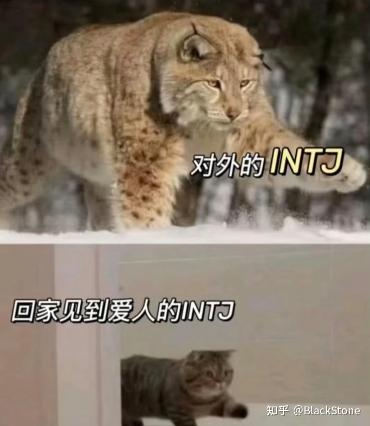 INTJ梗图(无水印) - 知乎