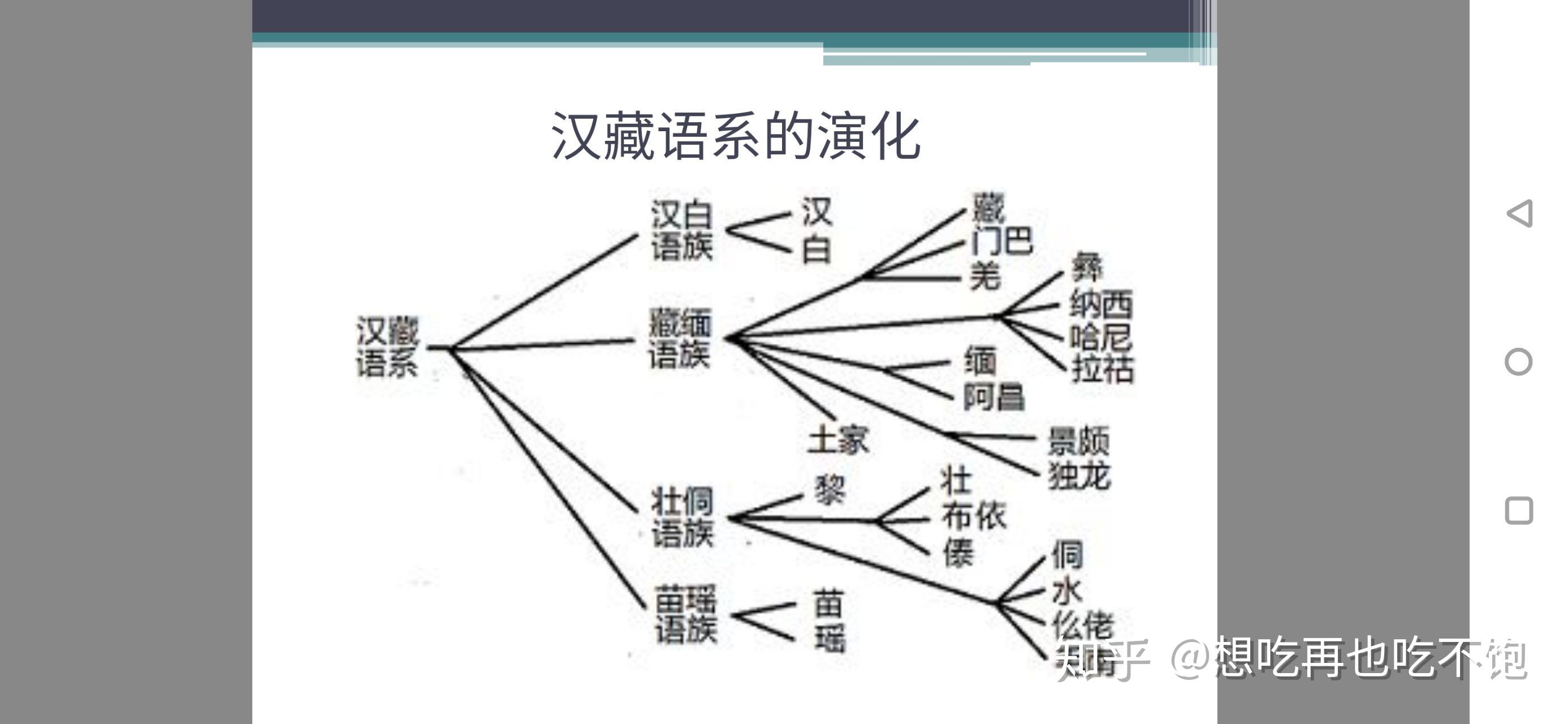 语系和语族是什么关系