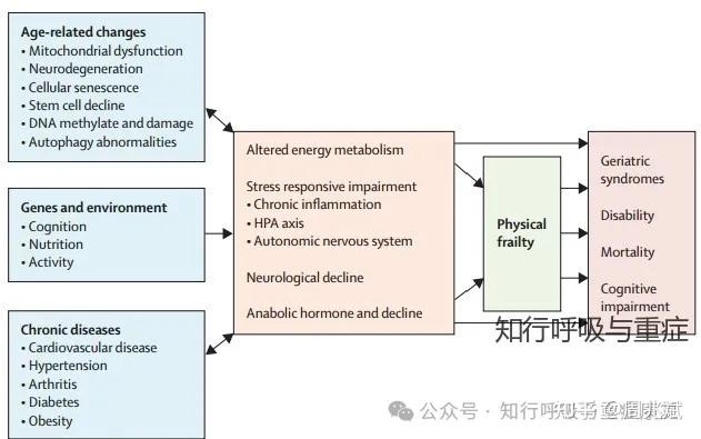 第202期 衰弱患者的多维度干预策略 - 知乎