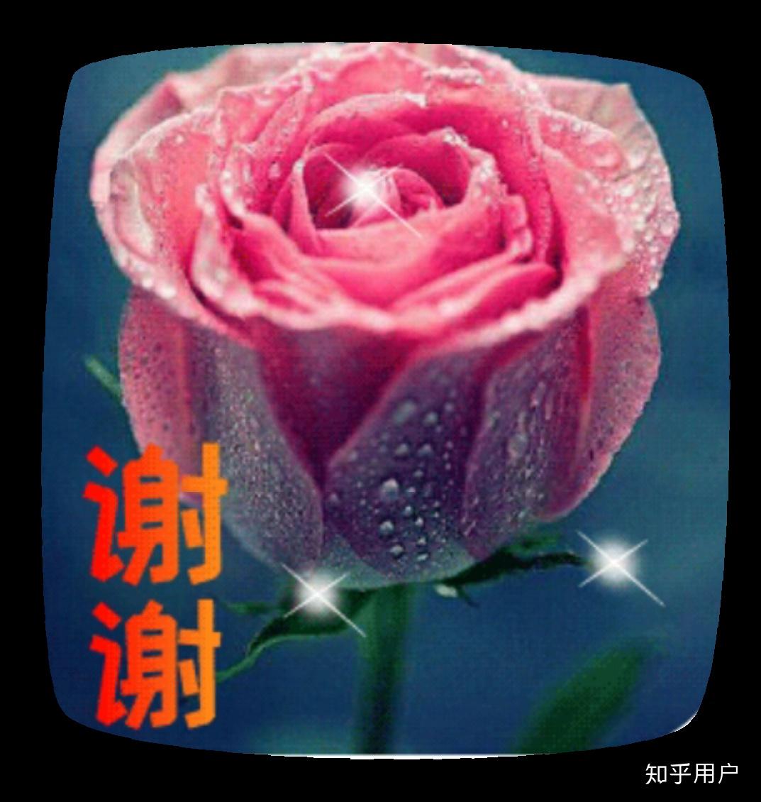 父母那个年代的表情包是什么样的