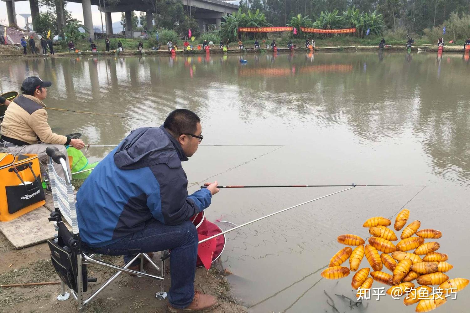 中秋以后钓鱼饵料要加腥，哪些腥味辅助饵料最好用？腥味饵料盘点 - 知乎