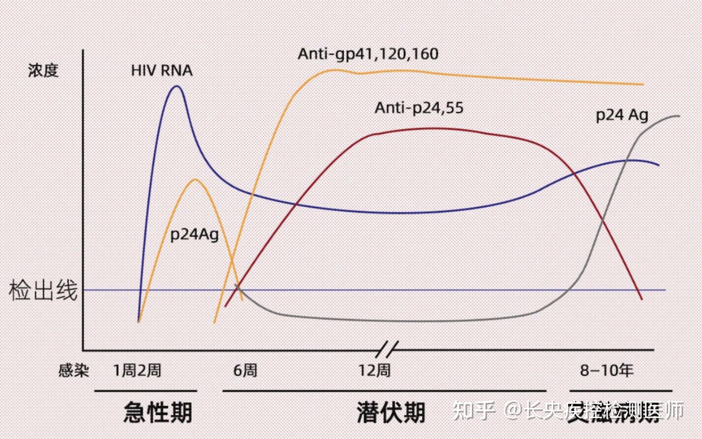 hiv浓度与t细胞关系图图片