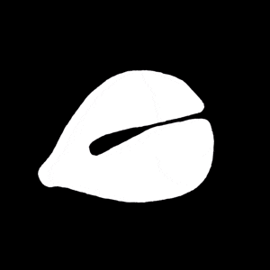 R 语言Mfuzz 绘图 | 从数据预处理到聚类可视化 - 知乎