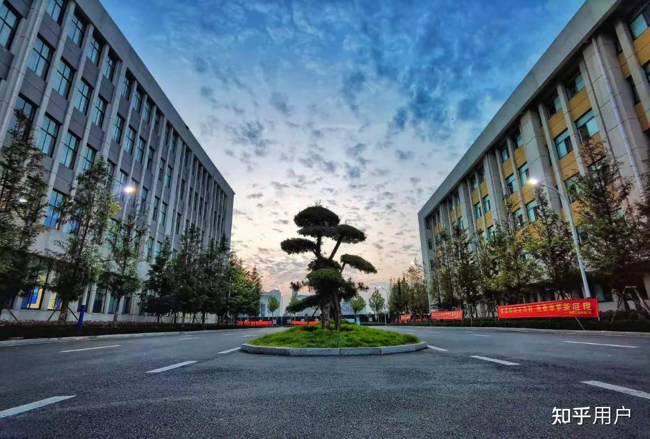 临沂职业学院的校园环境如何