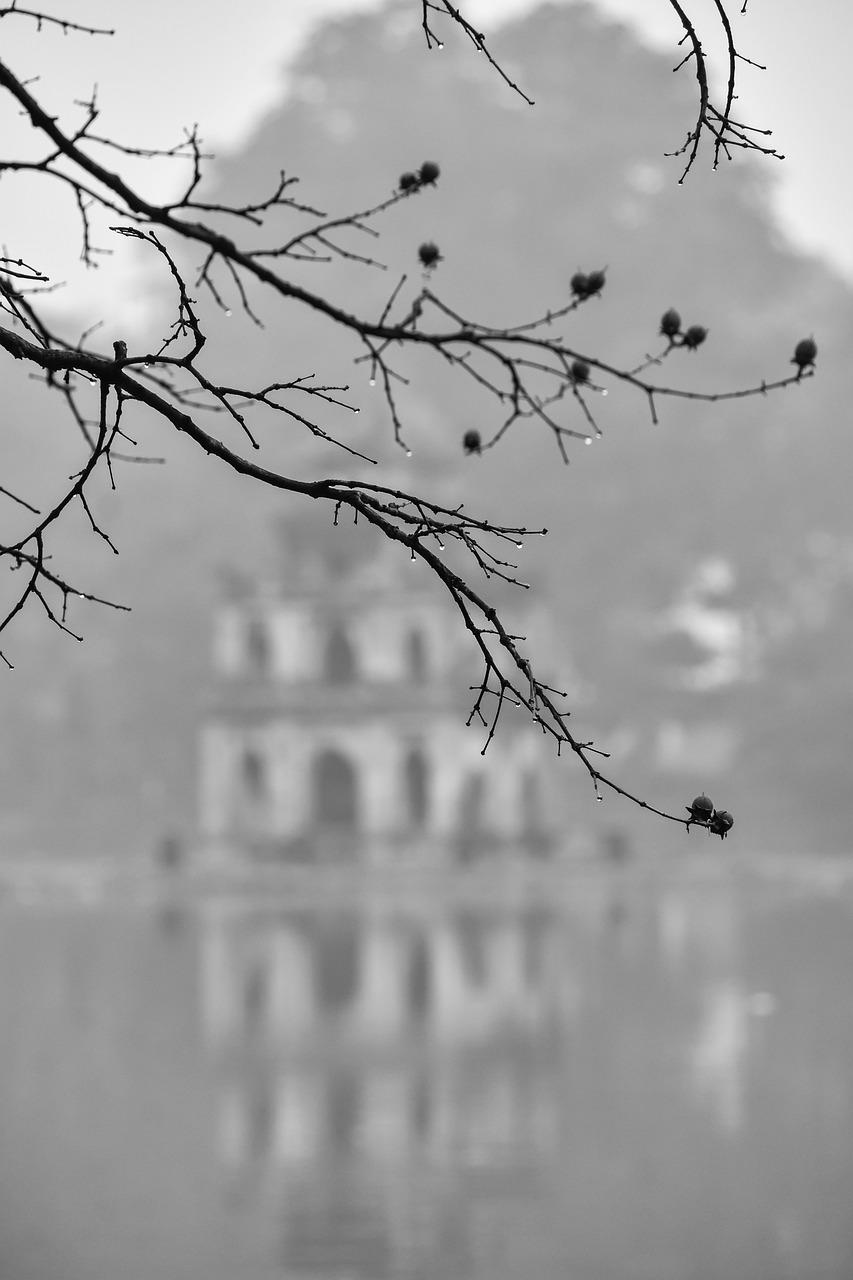 水景园林精装房