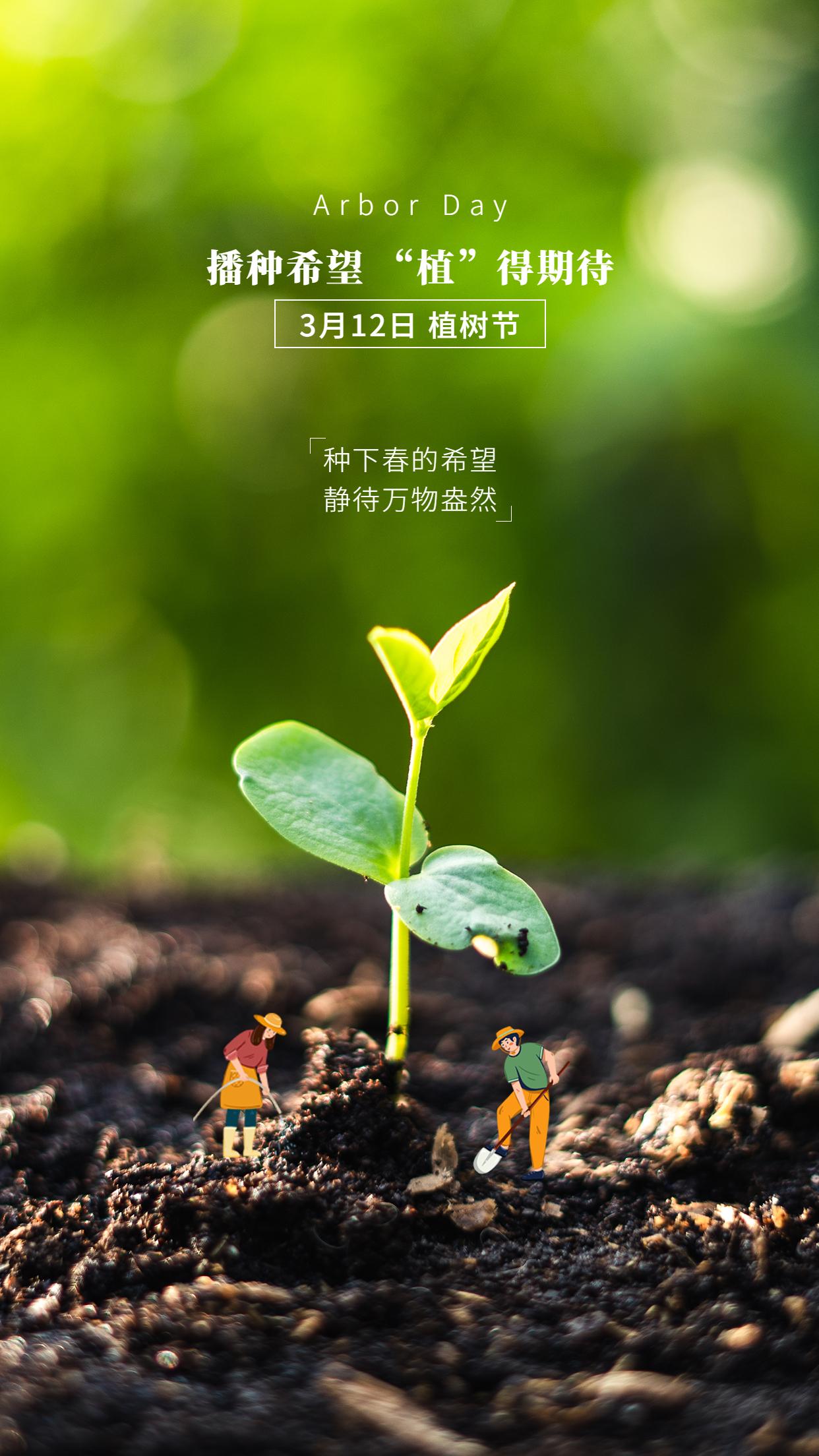 有哪些适合发朋友圈的植树节文案