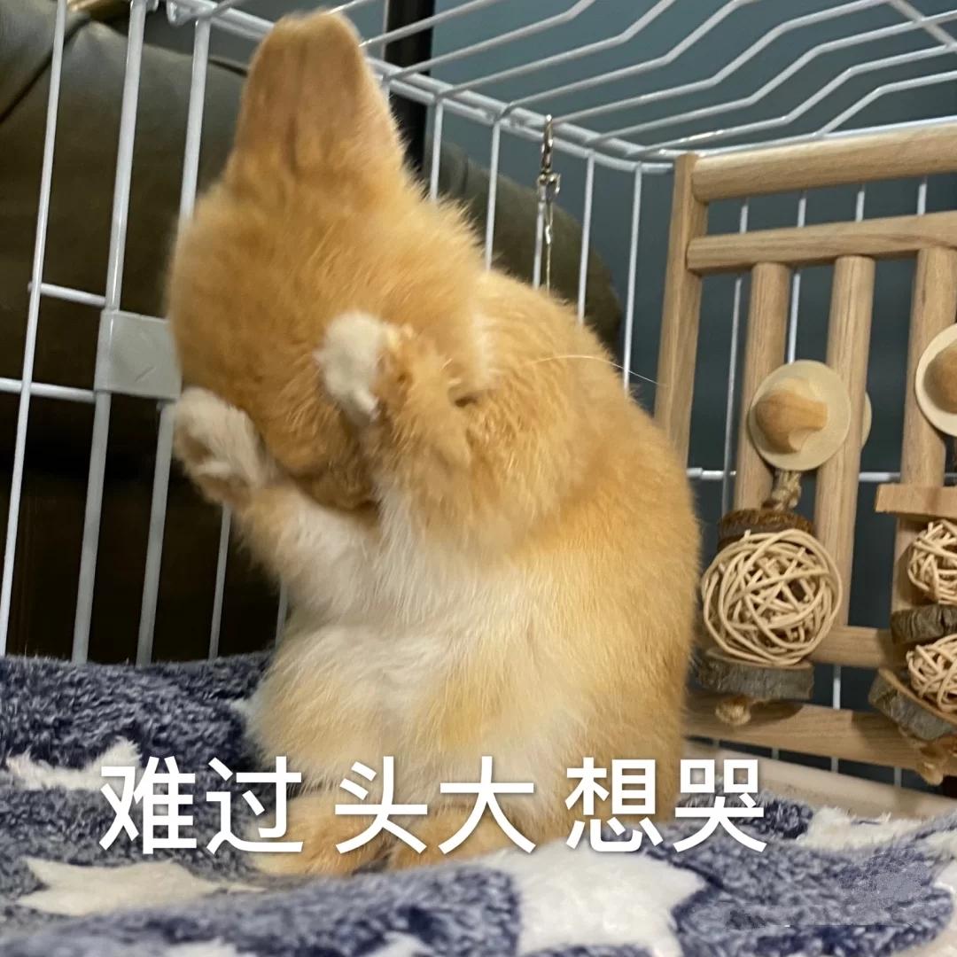 你平常聊天会用哪些「难过」的表情包？ - 知乎