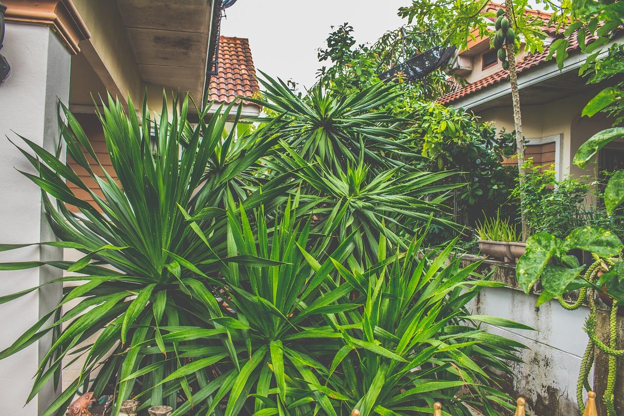 秋季室内湿度多少为宜