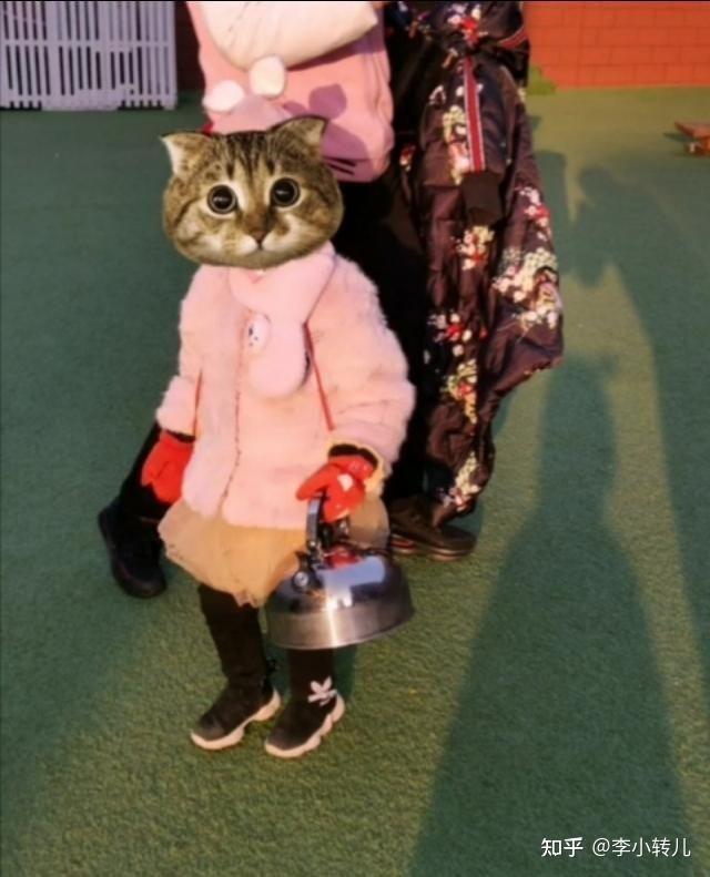 有哪些够你笑一辈子的沙雕图片？ - 知乎