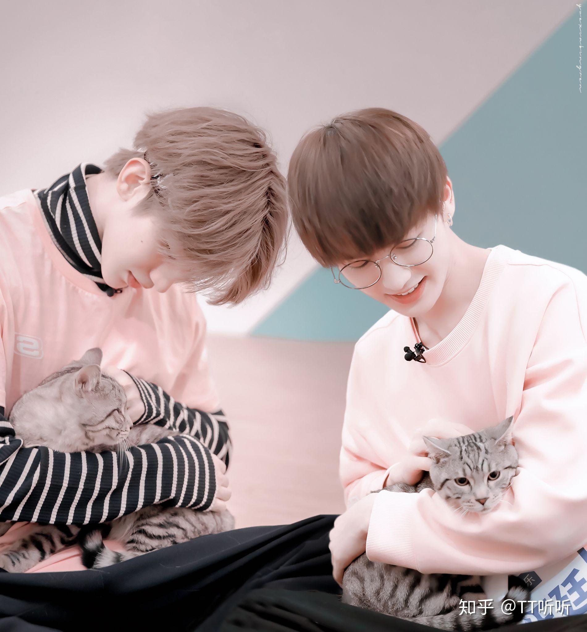 农坤,坤廷,丞坤哪个cp真(qdzm唯粉勿进)? - 知乎