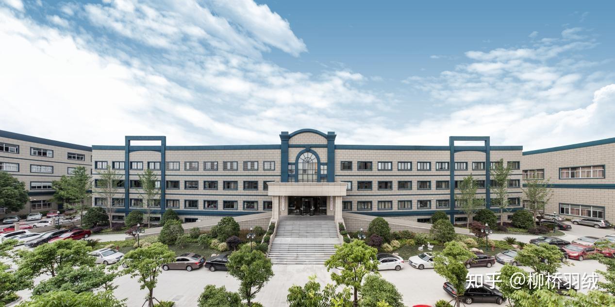 浙江杭州柳桥集团怎么样? - 知乎