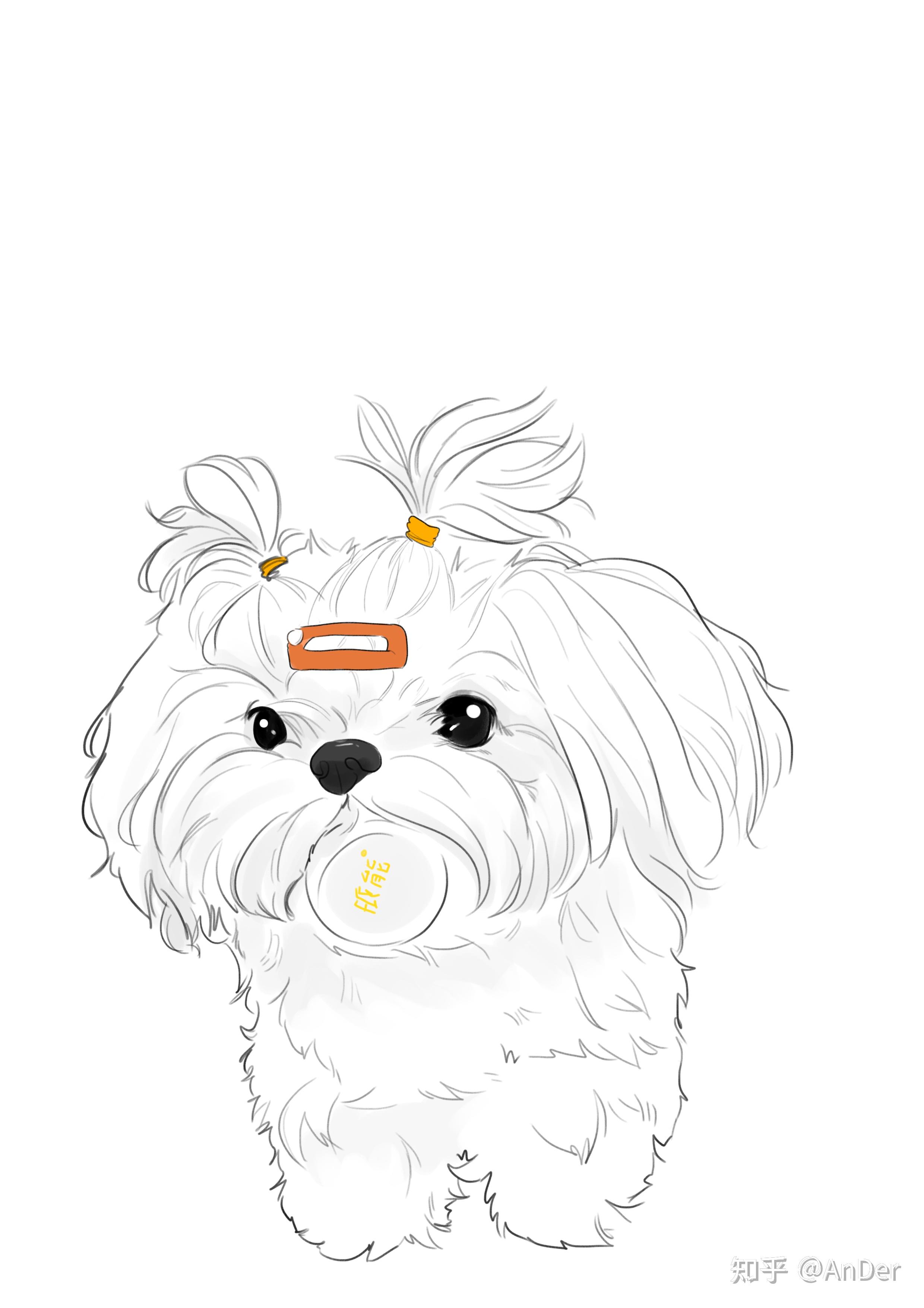 养马尔济斯是一种怎样的体验? - 知乎