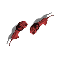 Zhihu profile picture for @prblms