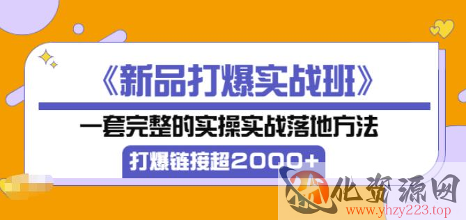 凌童《新品打爆实战班》,一套完整的实操实战落地方法，打爆链接超2000+（28节课)插图