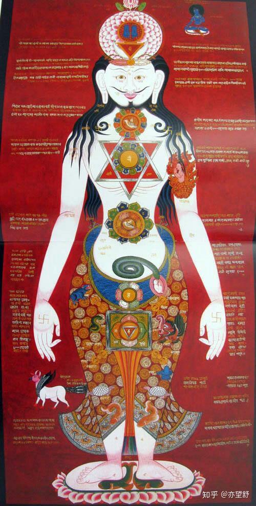 用google卫星地图在西藏粗布日西北方向经度86336纬度28179发现巨大