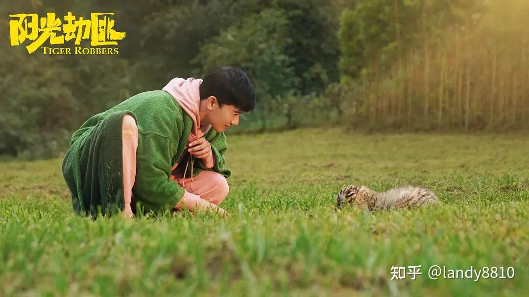 马丽,宋佳,老虎文文领衔主演,张海宇,谢锐韬主演的《阳光劫匪》剧照