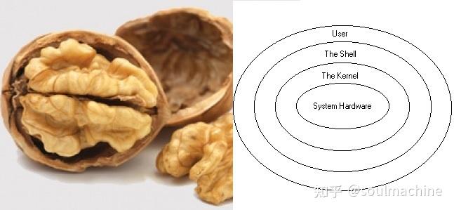 linux shell 为什么这么难学？如何高效学习shell? - 知乎