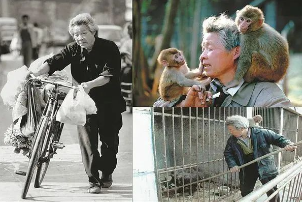 （年轻的这罗应玖）