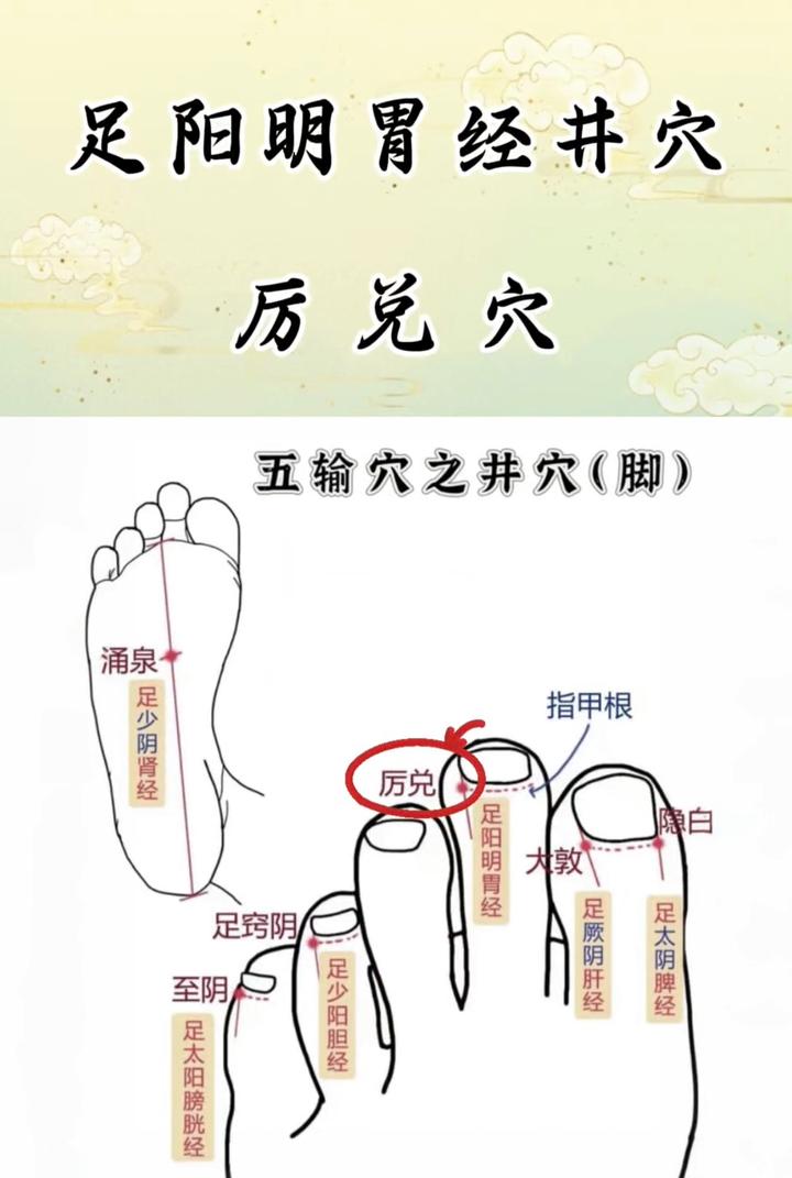 足阳明胃经井穴：厉兑穴 - 知乎