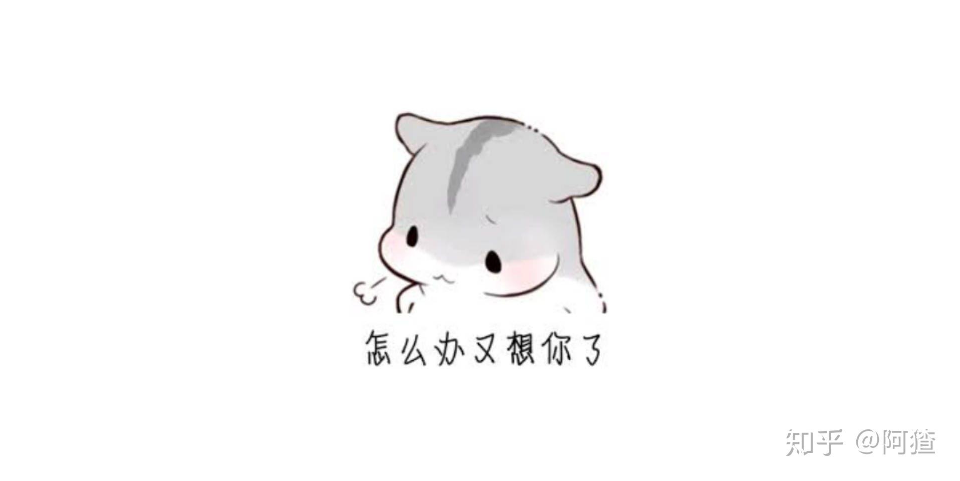 有哪些适合和妹子聊天开场白的表情包? - 知乎