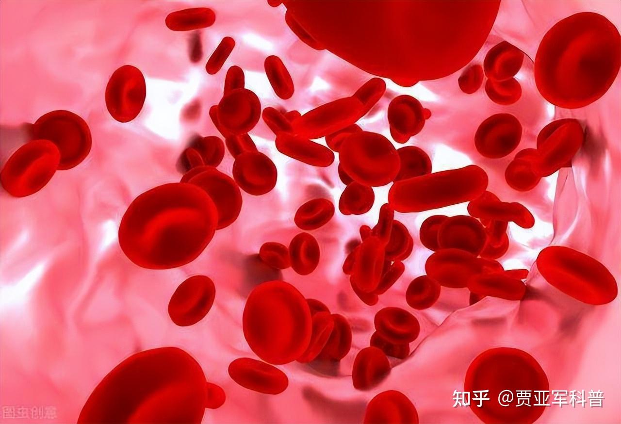 瘀血一通，浑身轻松，送你一个中成药，活血散瘀、通经络 - 知乎