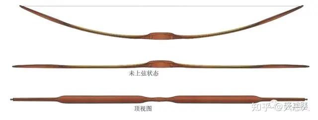 汉唐长弓属 - 知乎
