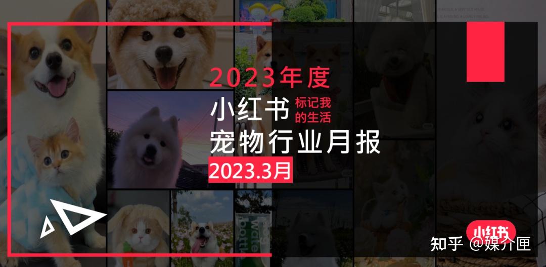 小红书2023年3月全15个行业月报，包含美妆、母婴、3C等 - 知乎