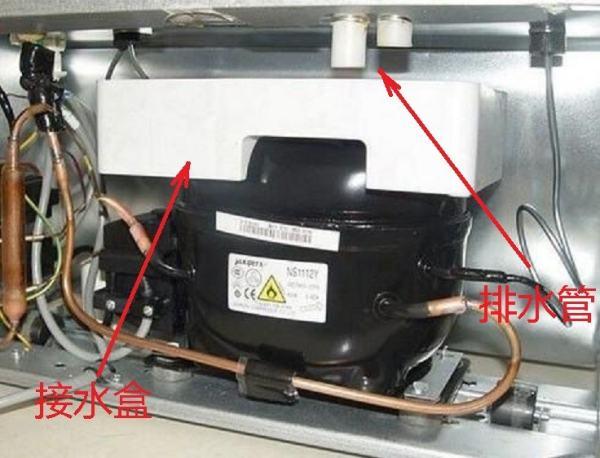 容声冰箱bcd-255wkr1nyg排水口在哪图解? - 知乎