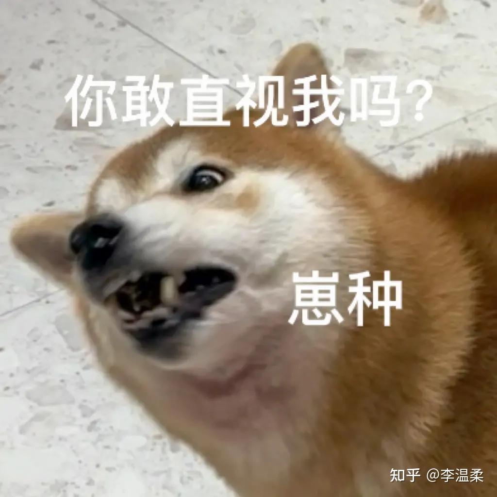 舍不得删的傻狗表情包 - 知乎