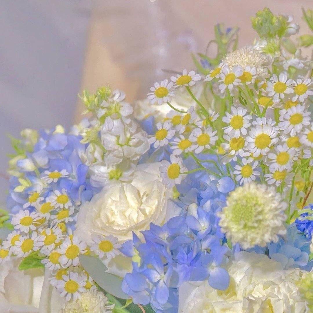 有没有这样关于玫瑰花的微信背景图或者有意境的文字背景图? - 知乎