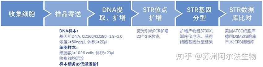什么是STR?STR鉴定结果可说明的问题是什么?为什么要进行STR鉴定? - 知乎